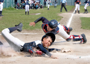 松戸市少年野球春季大会