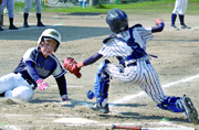 柏市少年野球低学年秋季大会