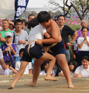 試合模様