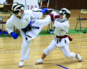 鎌ヶ谷市空手道大会