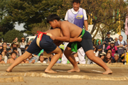 富勢八朔相撲大会