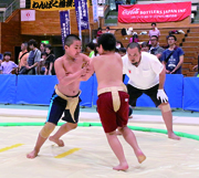 わんぱく相撲野田場所