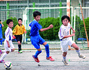 柏スポ少サッカー柏市代表決定戦