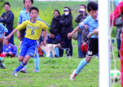 松戸市春季サッカー大会