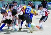 柏市民少年春季ミニサッカー大会