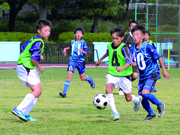 松戸市小学校球技大会サッカーの部