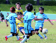 京葉ガス杯争奪サッカー