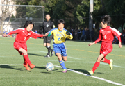 東葛地区少年サッカー大会