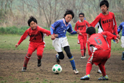 第33回松戸市春季サッカー大会