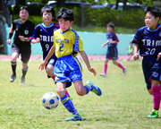 スポ少親睦サッカー大会松戸市予選