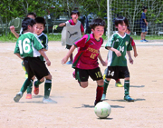 柏市民春季ミニサッカー大会