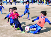 松葉ミニサッカー大会 1年~6年サッカー交歓