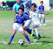 スポーツ少年団親睦サッカー大会