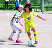 柏市民少年秋季ミニサッカー大会