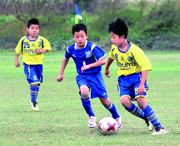 京葉ガス杯争奪松戸市サッカー大会