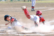 日ハム杯争奪千葉県大会