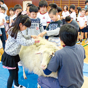 我孫子市立第二小学校