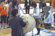 我孫子市立第二小学校