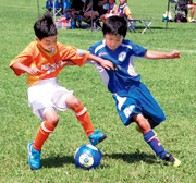 第1回我孫子市少年サッカーあびっこリーグ大会