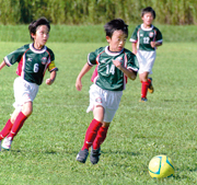 第1回我孫子市少年サッカーあびっこリーグ大会