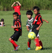 第1回我孫子市少年サッカーあびっこリーグ大会