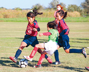 第31回我孫子市少年サッカー秋季リーグ大会