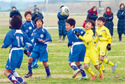 平成27年度（第22回）我孫子市サッカー協会会長杯少年サッカー大会