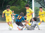 2016年度我孫子市少年サッカー春季リーグ大会（4年生以下）