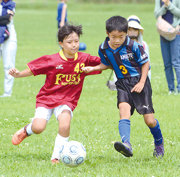 第2回我孫子市少年サッカーあびっ子リーグ大会